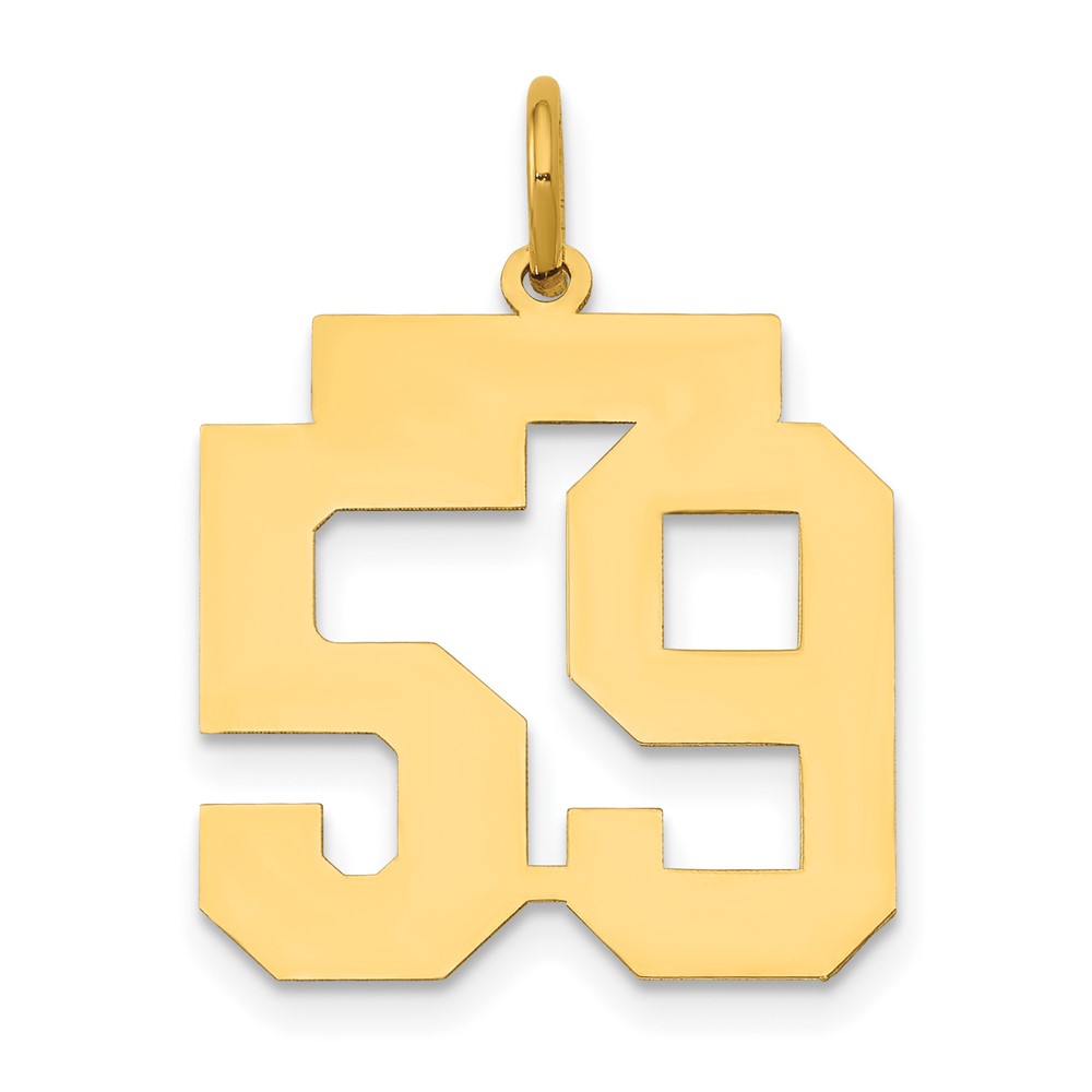 14K Yellow Gold Medium Polished Number 59 Charm