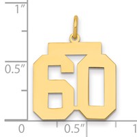 14K Medium Polished Number 60 Charm view 2