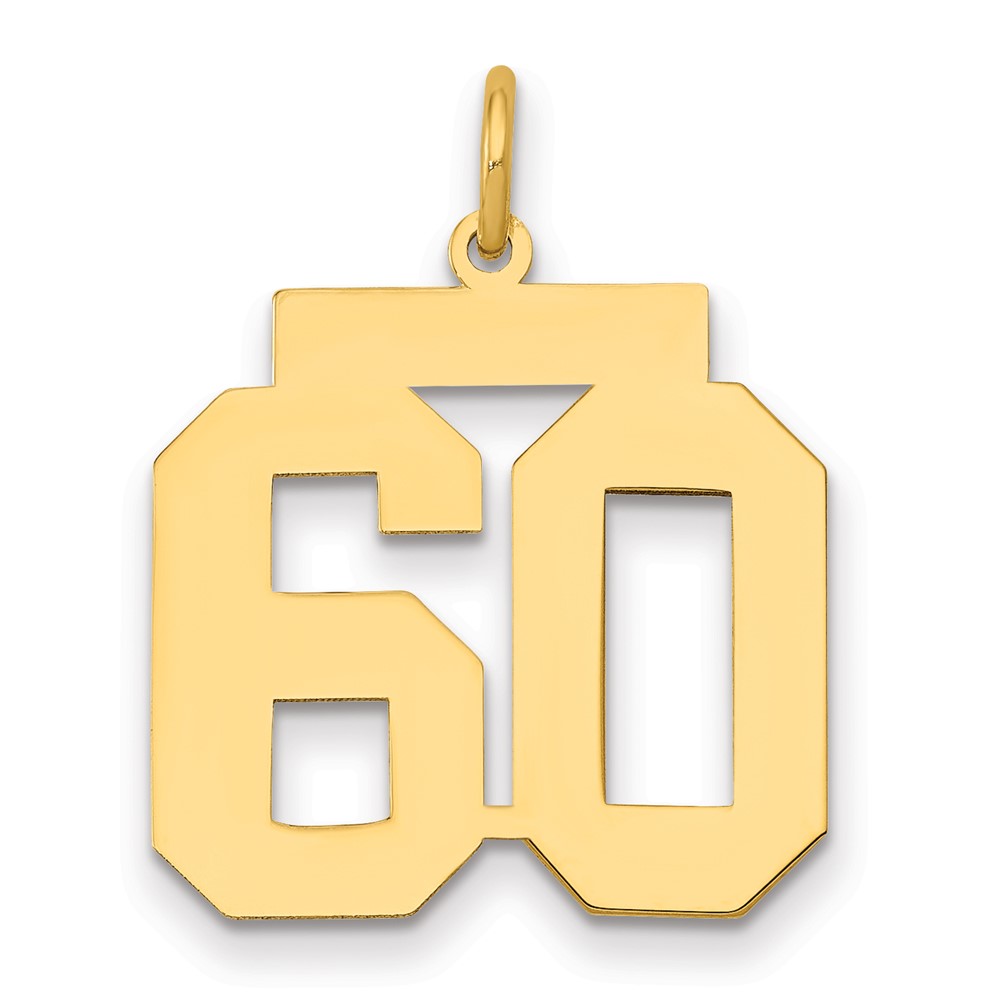 14K Medium Polished Number 60 Charm