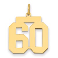 14K Medium Polished Number 60 Charm view 1
