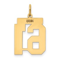 14K Yellow Gold Medium Polished Number 61 Charm view 3