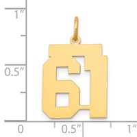 14K Yellow Gold Medium Polished Number 61 Charm view 4