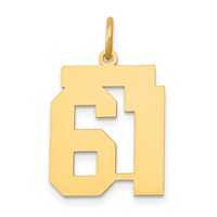 14K Yellow Gold Medium Polished Number 61 Charm view 1