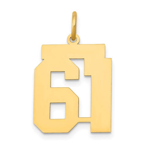14K Yellow Gold Medium Polished Number 61 Charm