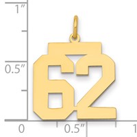 14K Yellow Gold Medium Polished Number 62 Charm view 2