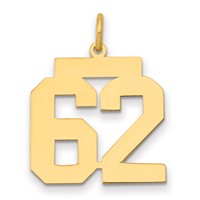 14K Yellow Gold Medium Polished Number 62 Charm view 1