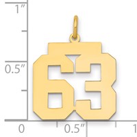 14K Yellow Gold Medium Polished Number 63 Charm view 2