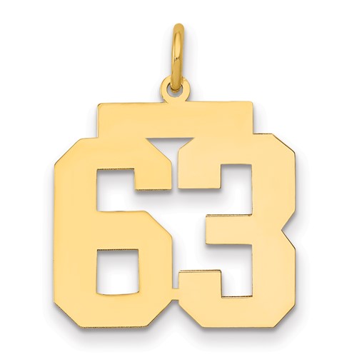 14K Yellow Gold Medium Polished Number 63 Charm