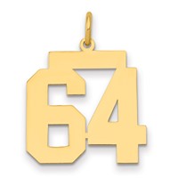 14K Yellow Gold Medium Polished Number 64 Charm view 1