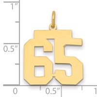 14K Yellow Gold Medium Polished Number 65 Charm view 2