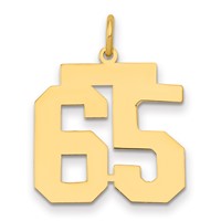 14K Yellow Gold Medium Polished Number 65 Charm view 1