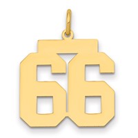 14K Yellow Gold Medium Polished Number 66 Charm view 1