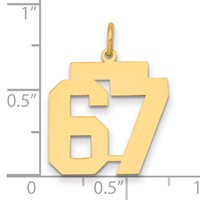 14K Yellow Gold Medium Polished Number 67 Charm view 2