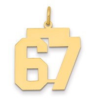 14K Yellow Gold Medium Polished Number 67 Charm view 1