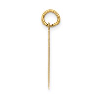 14K Yellow Gold Medium Polished Number 69 Charm view 2