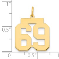 14K Yellow Gold Medium Polished Number 69 Charm view 3