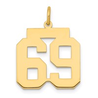 14K Yellow Gold Medium Polished Number 69 Charm view 1