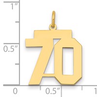 14K Yellow Gold Medium Polished Number 70 Charm view 2