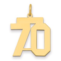 14K Yellow Gold Medium Polished Number 70 Charm view 1