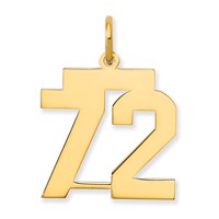 14K Yellow Gold Medium Polished Number 72 Charm view 1