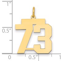 14K Yellow Gold Medium Polished Number 73 Charm view 2
