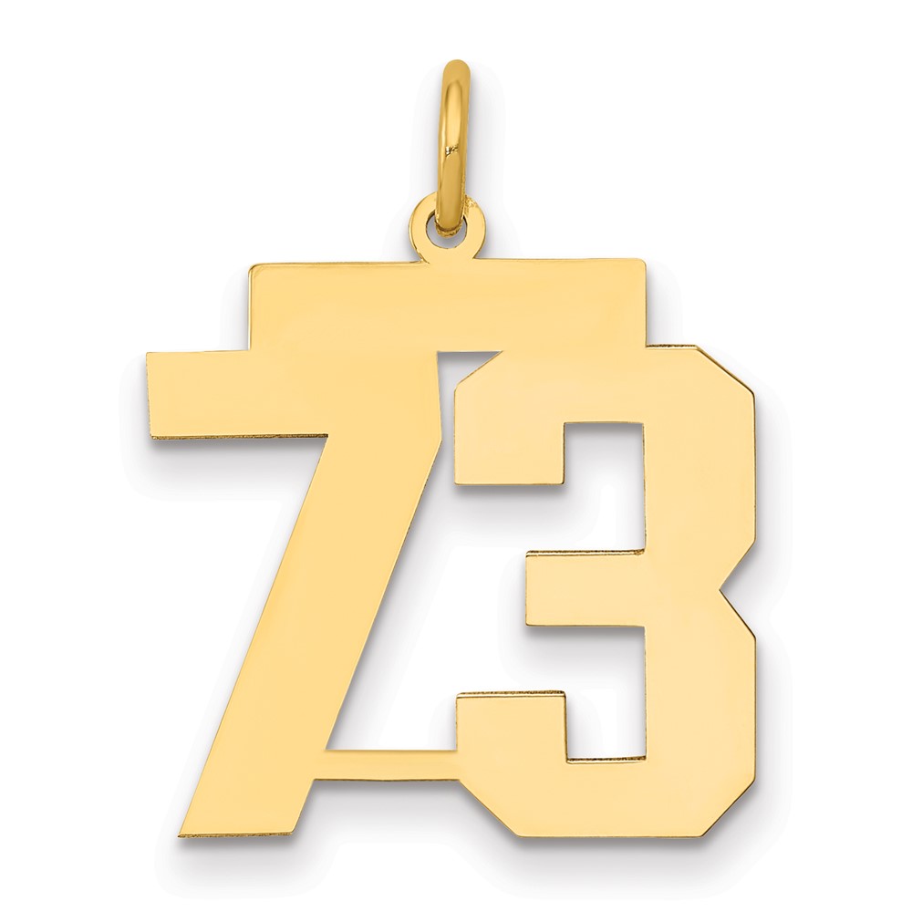 14K Yellow Gold Medium Polished Number 73 Charm