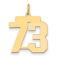 14K Yellow Gold Medium Polished Number 73 Charm view 1