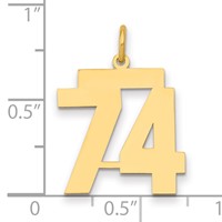 14K Yellow Gold Medium Polished Number 74 Charm view 2