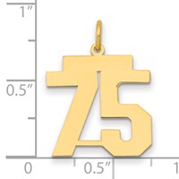 14K Medium Polished Number 75 Charm view 2