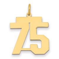 14K Medium Polished Number 75 Charm view 1