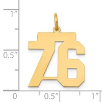 14K Yellow Gold Medium Polished Number 76 Charm view 3