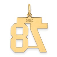 14K Yellow Gold Medium Polished Number 78 Charm view 3