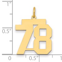 14K Yellow Gold Medium Polished Number 78 Charm view 4