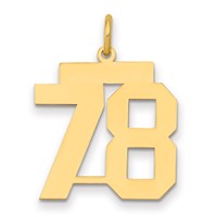 14K Yellow Gold Medium Polished Number 78 Charm view 1