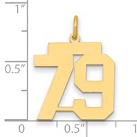 14K Yellow Gold Medium Polished Number 79 Charm view 2
