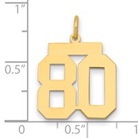 14K Yellow Gold Medium Polished Number 80 Charm view 2