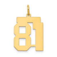 14K Medium Polished Number 81 Charm view 1