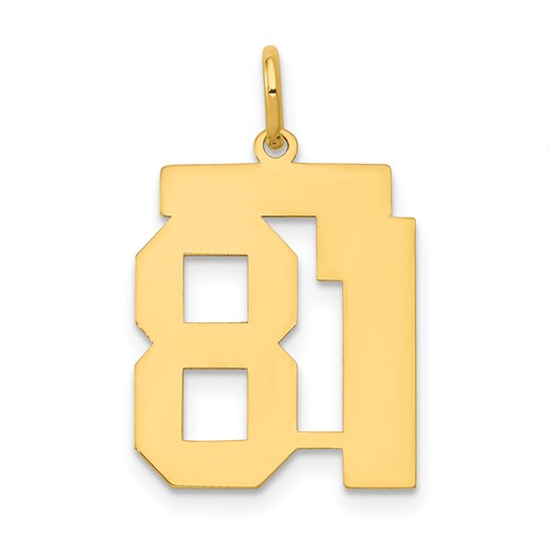 14K Yellow Gold Medium Polished Number 81 Charm