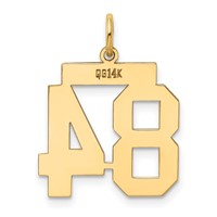 14K Yellow Gold Medium Polished Number 84 Charm view 3