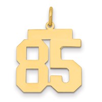 14K Yellow Gold Medium Polished Number 85 Charm view 1