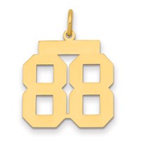 14K Yellow Gold Medium Polished Number 88 Charm view 1