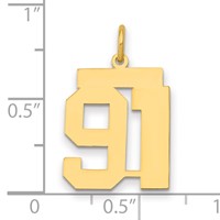 14K Yellow Gold Medium Polished Number 91 Charm view 2