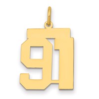 14K Yellow Gold Medium Polished Number 91 Charm view 1