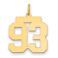 14K Yellow Gold Medium Polished Number 93 Charm view 1