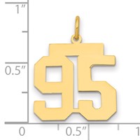 14K Yellow Gold Medium Polished Number 95 Charm view 2
