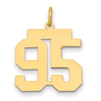 14K Yellow Gold Medium Polished Number 95 Charm view 1