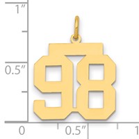 14K Medium Polished Number 98 Charm view 2