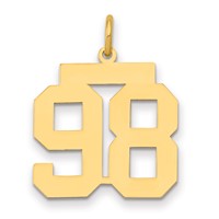 14K Medium Polished Number 98 Charm view 1