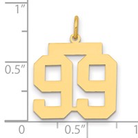 14K Yellow Gold Medium Polished Number 99 Charm view 2