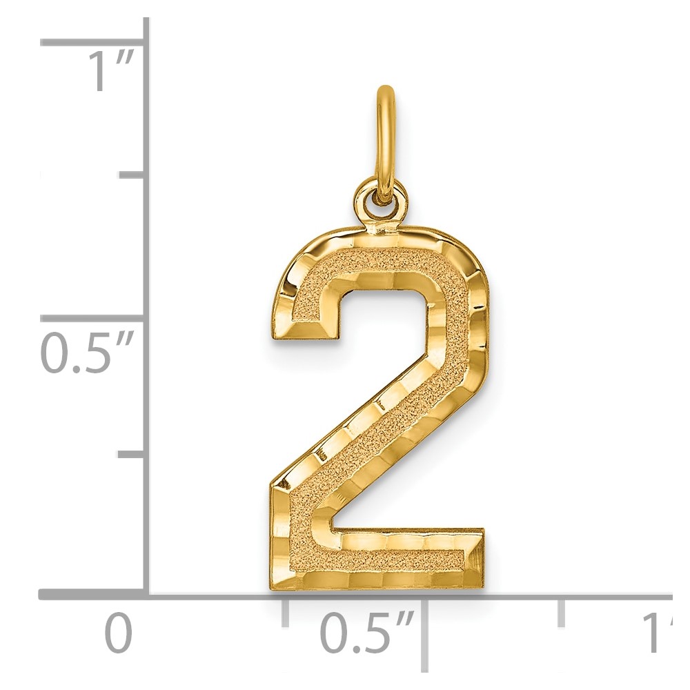 14k Large Brushed Diamond-cut Number 2 Charm (LN02)
